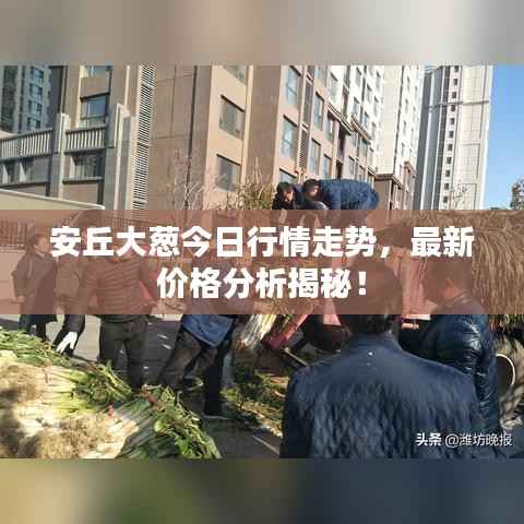 打张鸡儿 第5页