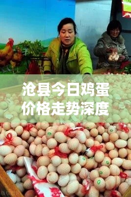 沧县今日鸡蛋价格走势深度解析