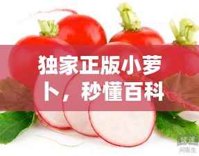 独家正版小萝卜,秒懂百科小萝卜