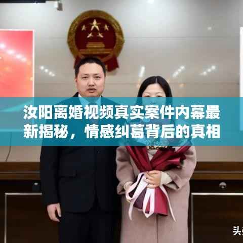 汝阳离婚视频真实案件内幕最新揭秘,情感纠葛背后的真相