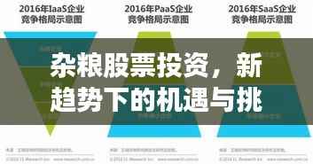 杂粮股票投资,新趋势下的机遇与挑战