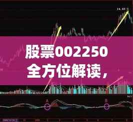 股票002250全方位解读，洞悉行情，把握投资机会！