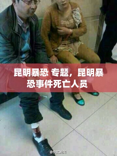 昆明暴恐 专题,昆明暴恐事件死亡人员
