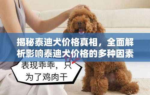 揭秘泰迪犬价格真相,全面解析影响泰迪犬价格的多种因素!