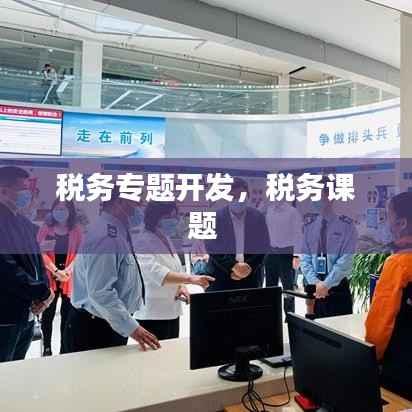 税务专题开发,税务课题