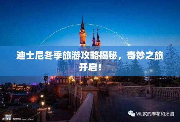 迪士尼冬季旅游攻略揭秘,奇妙之旅开启!