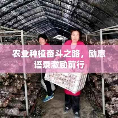 澹泊明志 第5页