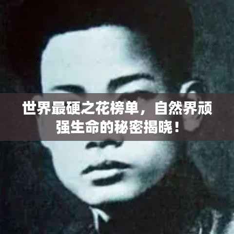 世界最硬之花榜单,自然界顽强生命的秘密揭晓!