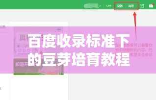 百度收录标准下的豆芽培育教程，轻松上手，简单实用！