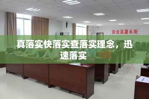 真落实快落实查落实理念,迅速落实