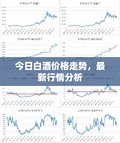 今日白酒价格走势,最新行情分析