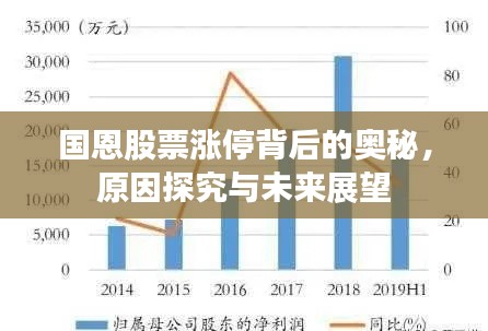 国恩股票涨停背后的奥秘,原因探究与未来展望