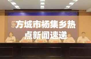 方城市杨集乡热点新闻速递