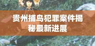 贵州捕鸟犯罪案件揭秘最新进展