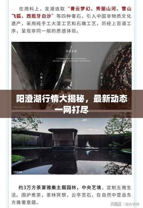 阳澄湖行情大揭秘,最新动态一网打尽