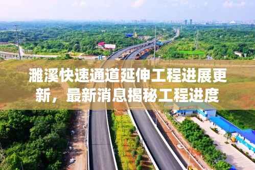 飞箭如蝗 第5页