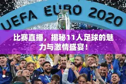 比赛直播,揭秘11人足球的魅力与激情盛宴!