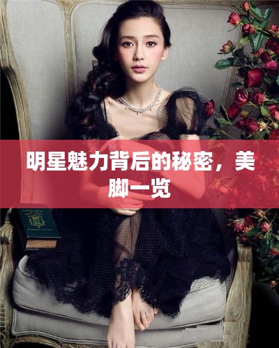 明星魅力背后的秘密,美脚一览