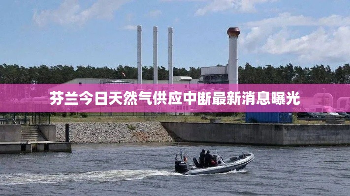 夸夸其谈 第5页