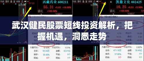 武汉健民股票短线投资解析,把握机遇,洞悉走势