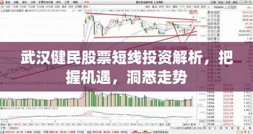 武汉健民股票短线投资解析,把握机遇,洞悉走势