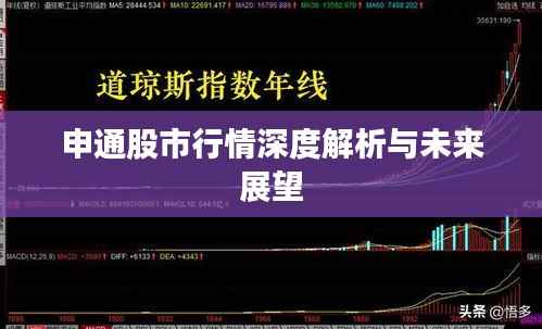 申通股市行情深度解析与未来展望