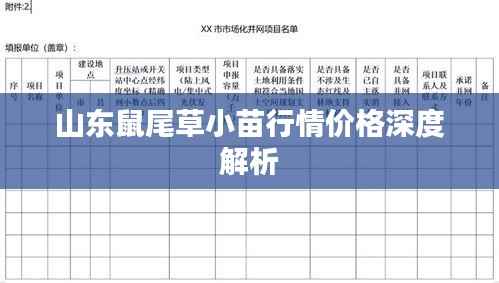 山东鼠尾草小苗行情价格深度解析