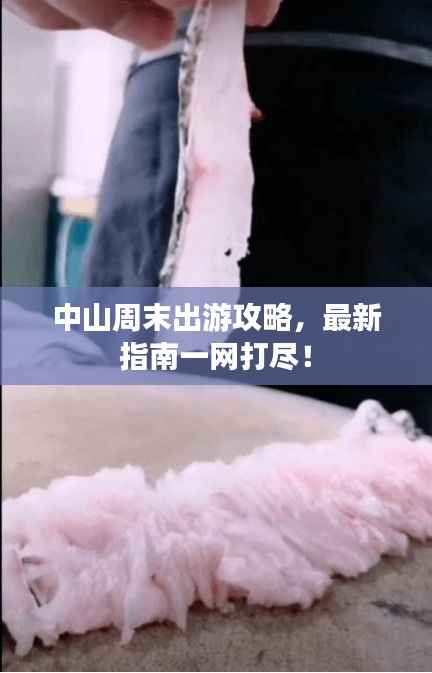 中山周末出游攻略,最新指南一网打尽!