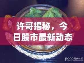 许哥揭秘,今日股市最新动态与消息速递