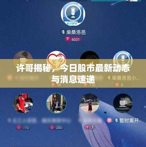 许哥揭秘,今日股市最新动态与消息速递