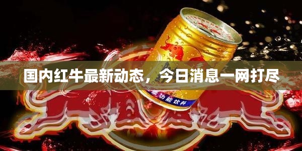 国内红牛最新动态,今日消息一网打尽