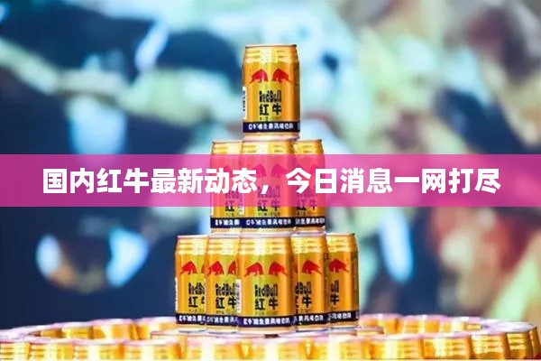 国内红牛最新动态,今日消息一网打尽