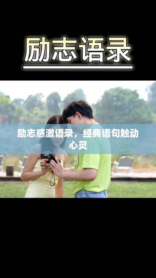 励志感激语录,经典语句触动心灵