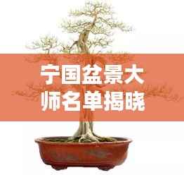 宁国盆景大师名单揭晓,最新公示,不容错过!