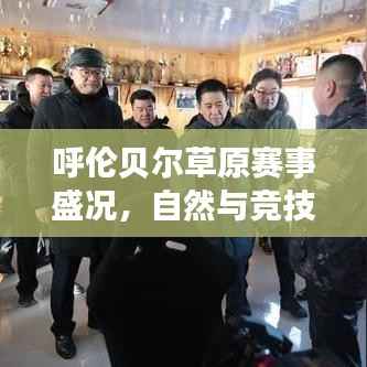 呼伦贝尔草原赛事盛况,自然与竞技的绝美交织画卷