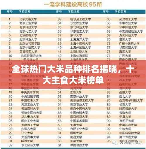 全球热门大米品种排名揭晓,十大主食大米榜单