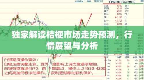 独家解读桔梗市场走势预测,行情展望与分析