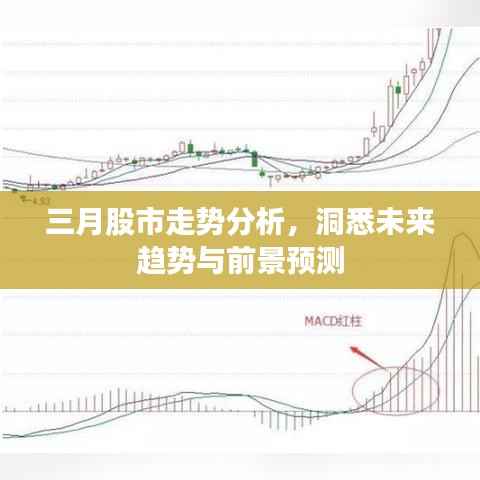 三月股市走势分析，洞悉未来趋势与前景预测