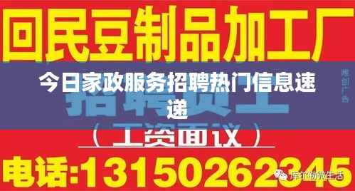 今日家政服务招聘热门信息速递