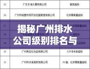 揭秘广州排水公司级别排名与重要性解析
