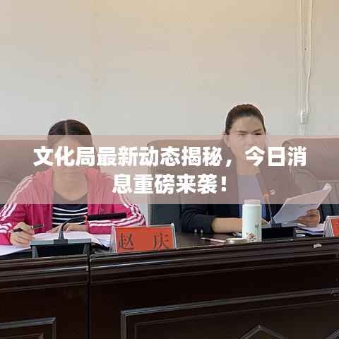 文化局最新动态揭秘,今日消息重磅来袭!