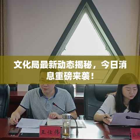 文化局最新动态揭秘,今日消息重磅来袭!