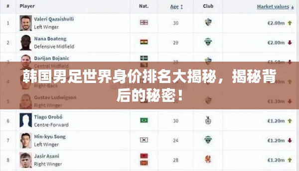 韩国男足世界身价排名大揭秘,揭秘背后的秘密!