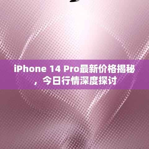 iPhone 14 Pro最新价格揭秘,今日行情深度探讨
