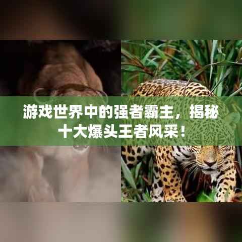 游戏世界中的强者霸主,揭秘十大爆头王者风采!