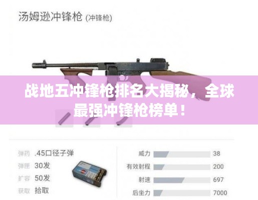 战地五冲锋枪排名大揭秘,全球最强冲锋枪榜单!
