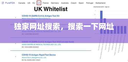 独家网址搜索,搜索一下网址
