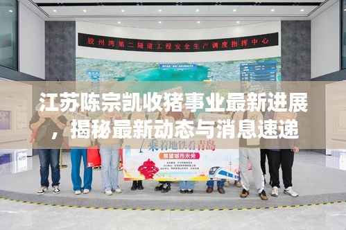 江苏陈宗凯收猪事业最新进展，揭秘最新动态与消息速递