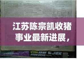 江苏陈宗凯收猪事业最新进展,揭秘最新动态与消息速递