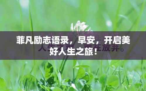 菲凡励志语录,早安,开启美好人生之旅!